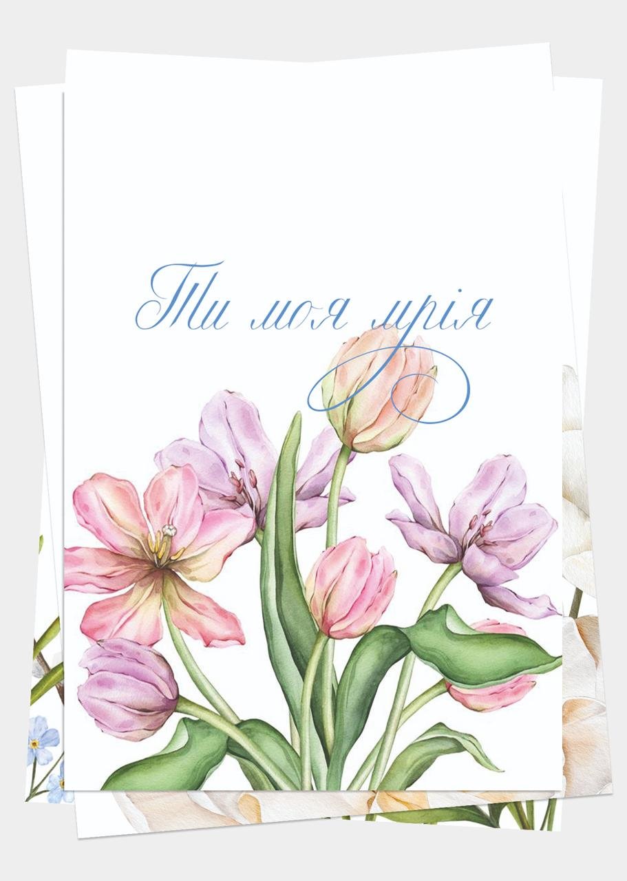 Набір Листівок Ніжність